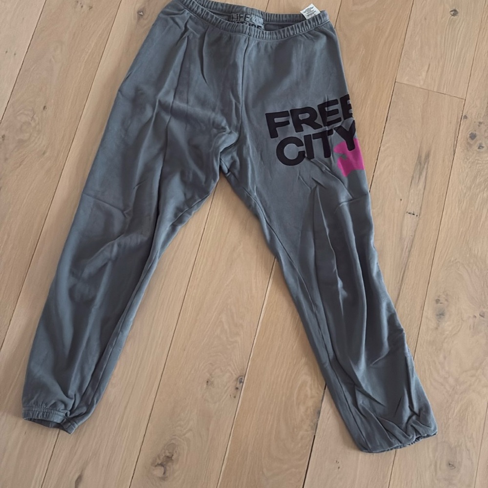 Free City gray sweatpants